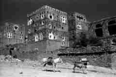 ���� ������ ��� ��� ����